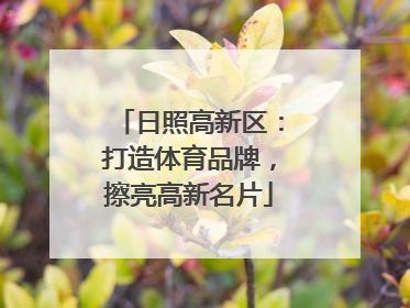 日照高新区：打造体育品牌，擦亮高新名片
